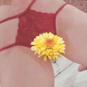 ヒメ日記 2025/06/08 16:51 投稿 ちはや 即アポマダム～名古屋店～