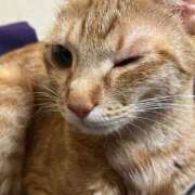 ヒメ日記 2025/06/19 15:11 投稿 ちはや 即アポマダム～名古屋店～