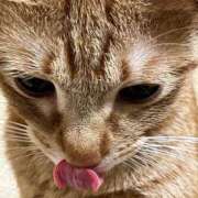 ヒメ日記 2025/06/19 20:23 投稿 ちはや 即アポマダム～名古屋店～