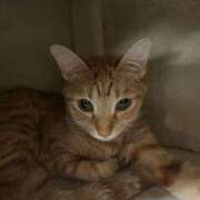 ヒメ日記 2025/06/27 02:41 投稿 ちはや 即アポマダム～名古屋店～