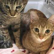 ヒメ日記 2025/06/28 20:31 投稿 ちはや 即アポマダム～名古屋店～