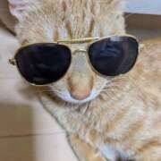 ヒメ日記 2025/07/02 20:15 投稿 ちはや 即アポマダム～名古屋店～