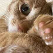 ヒメ日記 2025/07/08 15:02 投稿 ちはや 即アポマダム～名古屋店～