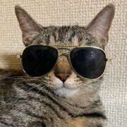 ヒメ日記 2025/07/21 23:31 投稿 ちはや 即アポマダム～名古屋店～