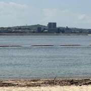 ヒメ日記 2025/07/22 10:44 投稿 ちはや 即アポマダム～名古屋店～