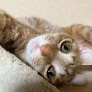 ヒメ日記 2025/07/26 23:41 投稿 ちはや 即アポマダム～名古屋店～