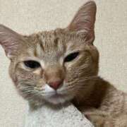 ヒメ日記 2025/08/08 08:19 投稿 ちはや 即アポマダム～名古屋店～