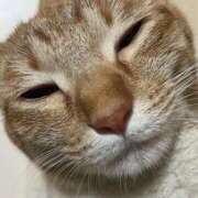 ヒメ日記 2025/08/12 23:10 投稿 ちはや 即アポマダム～名古屋店～