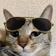 ヒメ日記 2025/08/21 22:41 投稿 ちはや 即アポマダム～名古屋店～