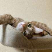 ヒメ日記 2025/08/22 15:51 投稿 ちはや 即アポマダム～名古屋店～