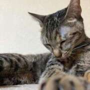 ヒメ日記 2025/08/22 23:21 投稿 ちはや 即アポマダム～名古屋店～