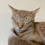 ヒメ日記 2025/08/25 23:11 投稿 ちはや 即アポマダム～名古屋店～