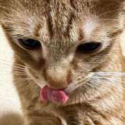 ヒメ日記 2025/08/27 10:24 投稿 ちはや 即アポマダム～名古屋店～