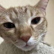 ヒメ日記 2025/08/28 19:01 投稿 ちはや 即アポマダム～名古屋店～