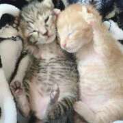 ヒメ日記 2025/09/05 10:51 投稿 ちはや 即アポマダム～名古屋店～