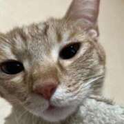 ヒメ日記 2025/09/06 22:41 投稿 ちはや 即アポマダム～名古屋店～