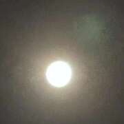 ヒメ日記 2025/09/08 01:22 投稿 ちはや 即アポマダム～名古屋店～