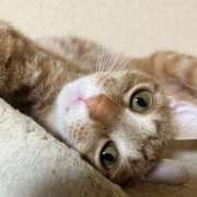 ヒメ日記 2025/09/10 23:11 投稿 ちはや 即アポマダム～名古屋店～