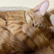 ヒメ日記 2025/09/16 00:11 投稿 ちはや 即アポマダム～名古屋店～