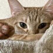 ヒメ日記 2025/09/18 14:51 投稿 ちはや 即アポマダム～名古屋店～