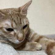 ヒメ日記 2025/09/19 14:41 投稿 ちはや 即アポマダム～名古屋店～