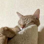 ヒメ日記 2025/09/20 04:01 投稿 ちはや 即アポマダム～名古屋店～