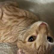 ヒメ日記 2025/09/21 21:21 投稿 ちはや 即アポマダム～名古屋店～