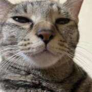 ヒメ日記 2025/09/25 13:54 投稿 ちはや 即アポマダム～名古屋店～