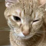 ヒメ日記 2025/09/25 15:41 投稿 ちはや 即アポマダム～名古屋店～