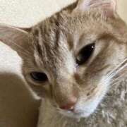 ヒメ日記 2025/10/03 01:11 投稿 ちはや 即アポマダム～名古屋店～