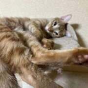 ヒメ日記 2025/10/04 12:21 投稿 ちはや 即アポマダム～名古屋店～