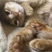 ヒメ日記 2025/10/07 14:21 投稿 ちはや 即アポマダム～名古屋店～