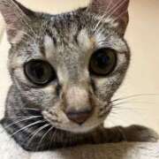 ヒメ日記 2025/10/08 00:21 投稿 ちはや 即アポマダム～名古屋店～