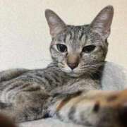 ヒメ日記 2025/10/09 23:11 投稿 ちはや 即アポマダム～名古屋店～