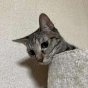 ヒメ日記 2025/10/12 08:41 投稿 ちはや 即アポマダム～名古屋店～