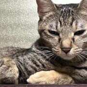 ヒメ日記 2025/10/15 00:01 投稿 ちはや 即アポマダム～名古屋店～