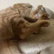 ヒメ日記 2025/10/15 22:23 投稿 ちはや 即アポマダム～名古屋店～