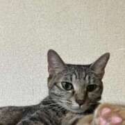 ヒメ日記 2025/10/16 16:51 投稿 ちはや 即アポマダム～名古屋店～