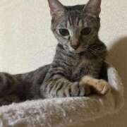 ヒメ日記 2025/10/22 11:22 投稿 ちはや 即アポマダム～名古屋店～