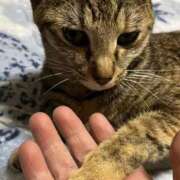 ヒメ日記 2025/10/22 23:37 投稿 ちはや 即アポマダム～名古屋店～