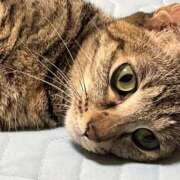 ヒメ日記 2025/10/23 10:21 投稿 ちはや 即アポマダム～名古屋店～