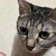 ヒメ日記 2025/10/23 14:59 投稿 ちはや 即アポマダム～名古屋店～