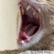 ヒメ日記 2025/10/23 16:12 投稿 ちはや 即アポマダム～名古屋店～