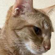 ヒメ日記 2025/10/25 00:11 投稿 ちはや 即アポマダム～名古屋店～