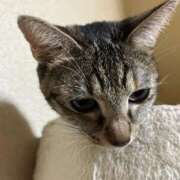 ヒメ日記 2025/10/25 23:31 投稿 ちはや 即アポマダム～名古屋店～