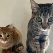 ヒメ日記 2025/10/27 11:24 投稿 ちはや 即アポマダム～名古屋店～