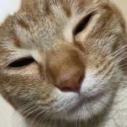 ヒメ日記 2025/10/28 13:51 投稿 ちはや 即アポマダム～名古屋店～