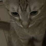 ヒメ日記 2025/10/30 10:41 投稿 ちはや 即アポマダム～名古屋店～