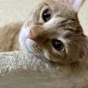 ヒメ日記 2025/10/31 23:26 投稿 ちはや 即アポマダム～名古屋店～