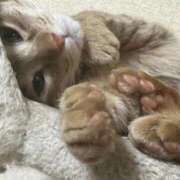 ヒメ日記 2025/11/02 01:01 投稿 ちはや 即アポマダム～名古屋店～